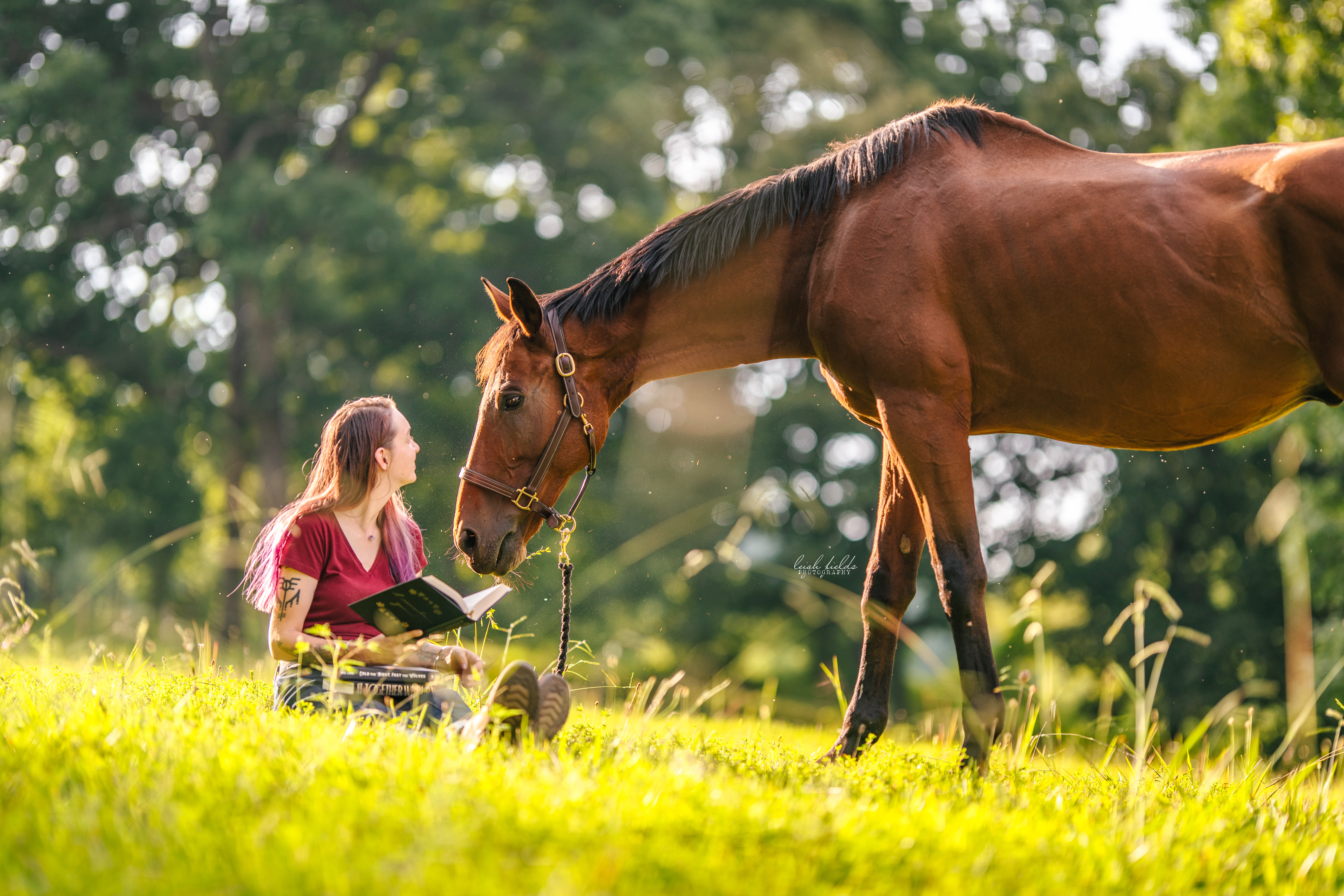 A girl and her bay thoroughbred gelding captured by equine photographer leigh fields photography in asheville, north carolina