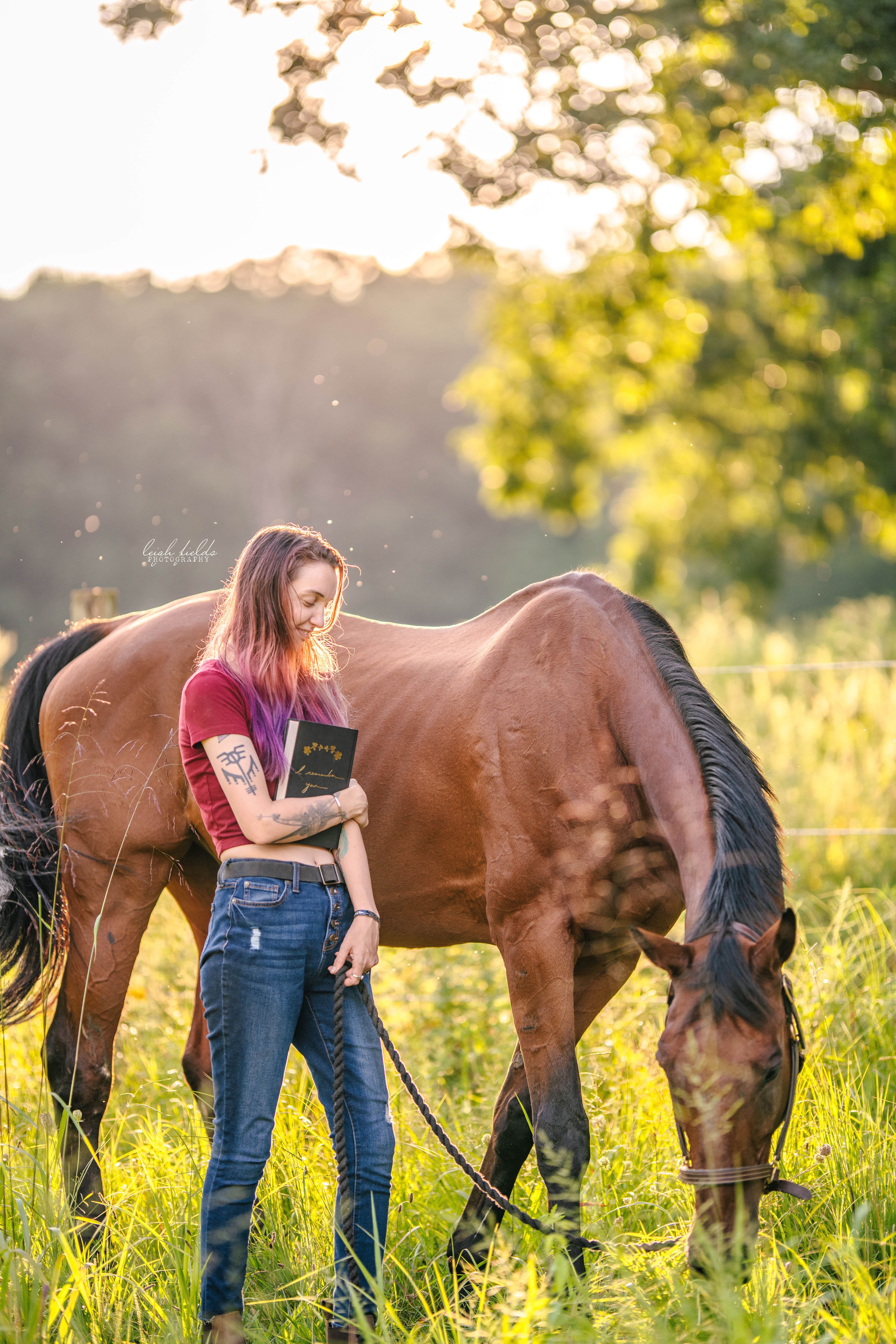 north carolina equine photographer leigh fields photography asheville, nc